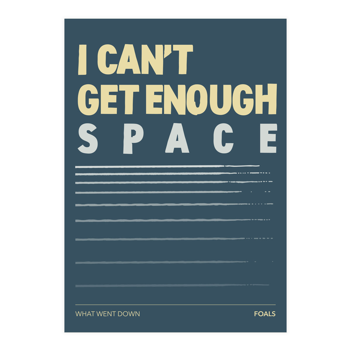 Foals - What Went Down (Print Only)