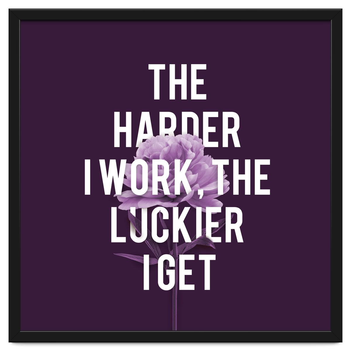 Work Hard Be Lucky