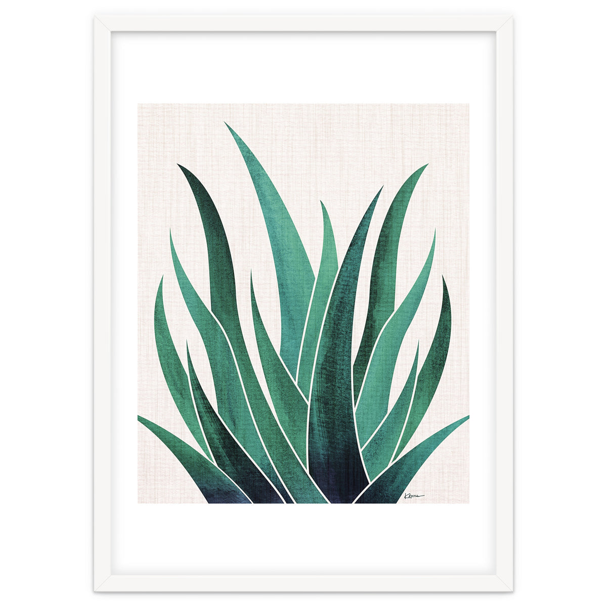 Desert Agave
