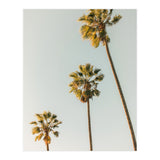 California (Print Only) thumbnail