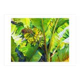 Tropical Fruit (Print Only) thumbnail