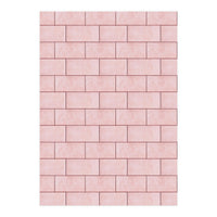 Blush Brick Imperfection (Print Only)