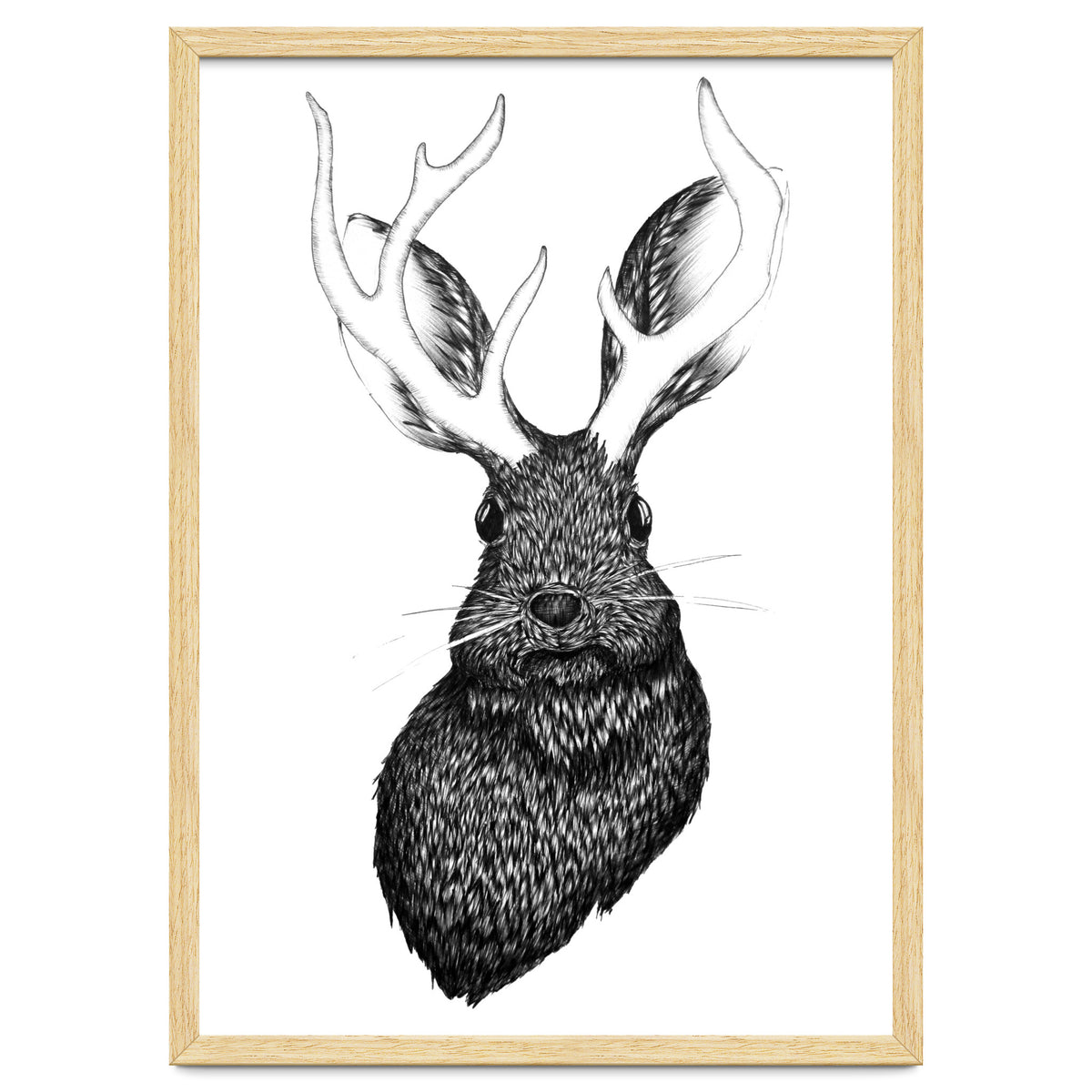 Jackalope