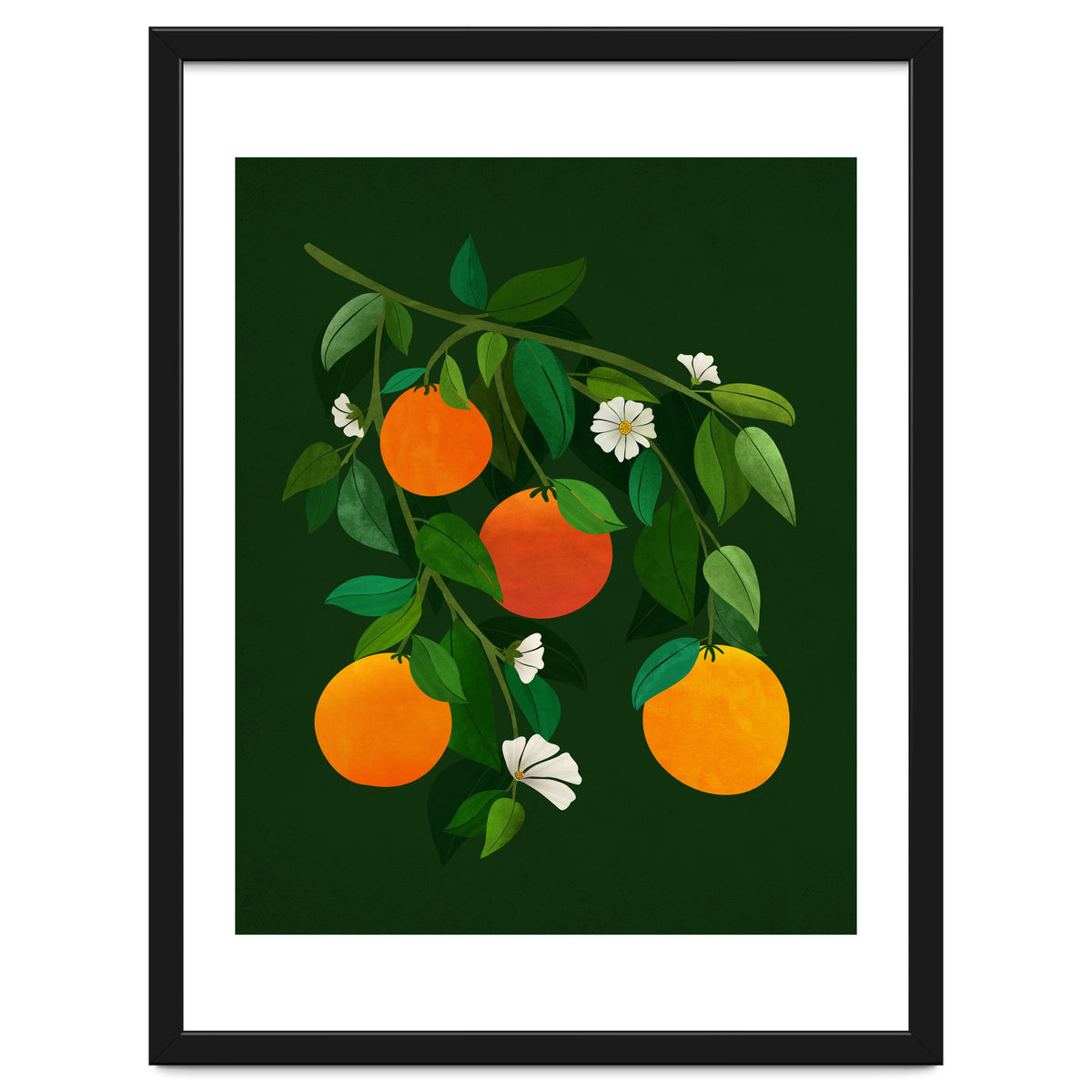 Oranges and Blossoms