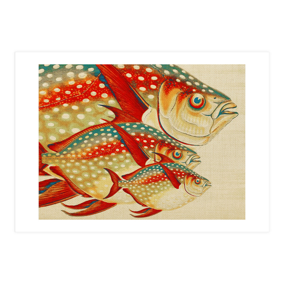 Fish Classic Designs 1 (Print Only)