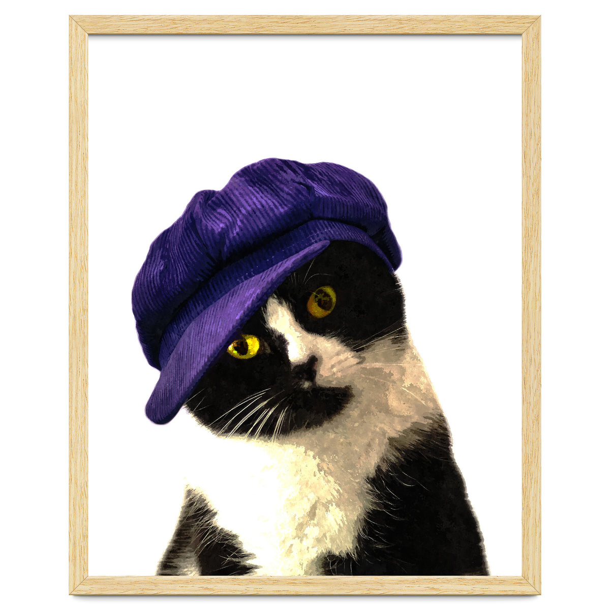Cat Blue Hat