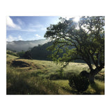 Henry Coe I (Print Only) thumbnail