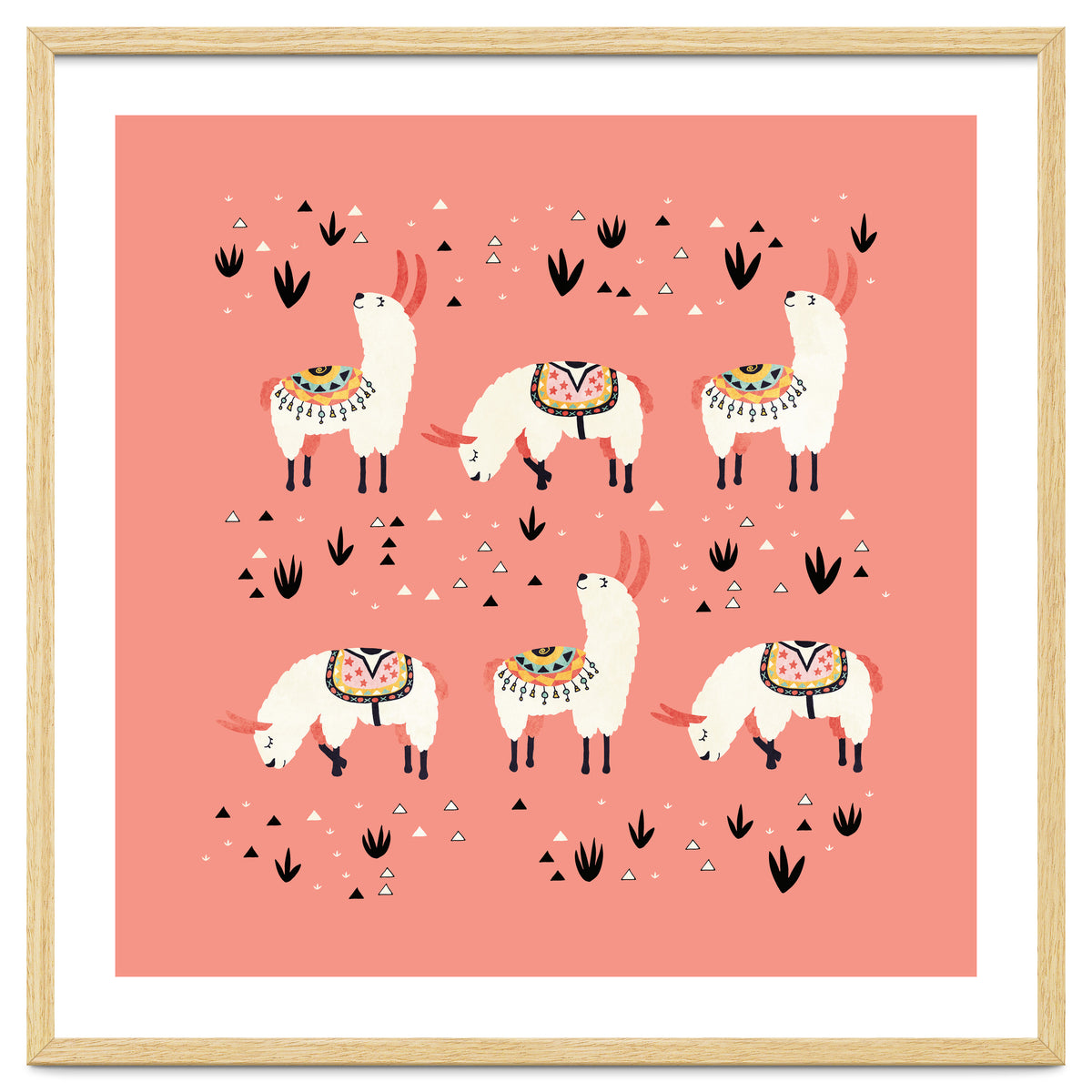 White Llamas In Pink Desert