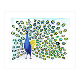 Peacock (Print Only) thumbnail