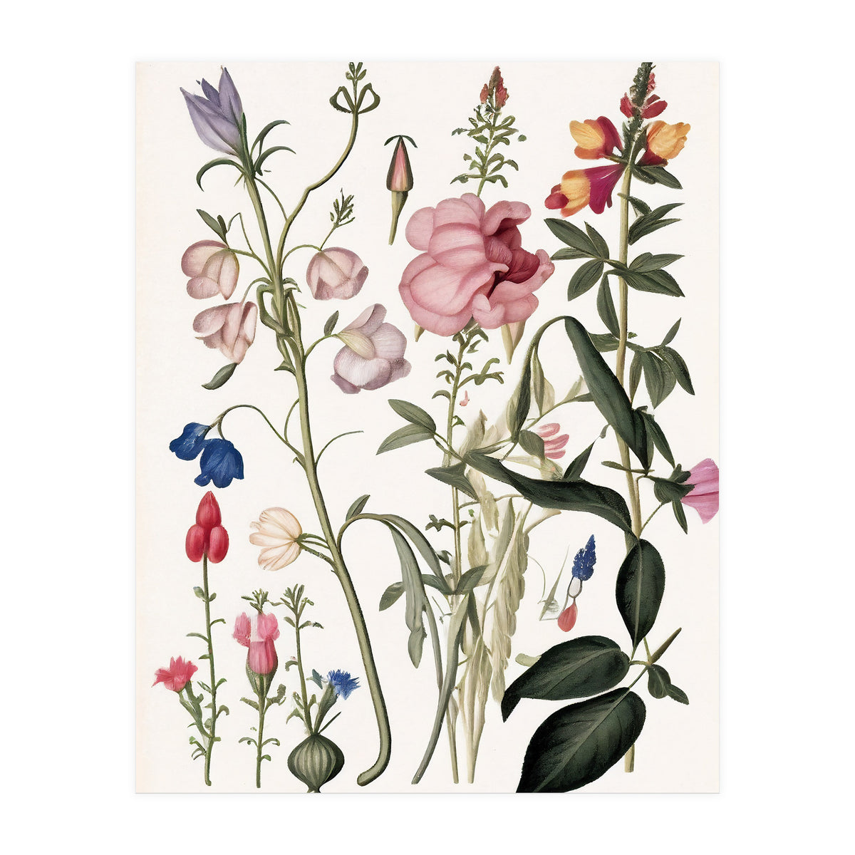 Flowers Botanical Vintage Illustration (Print Only)