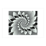 Black & White Floral (Print Only) thumbnail