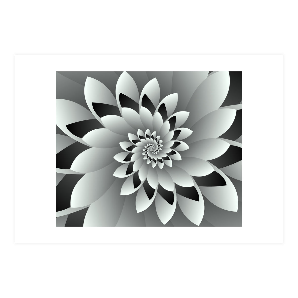 Black & White Floral (Print Only)