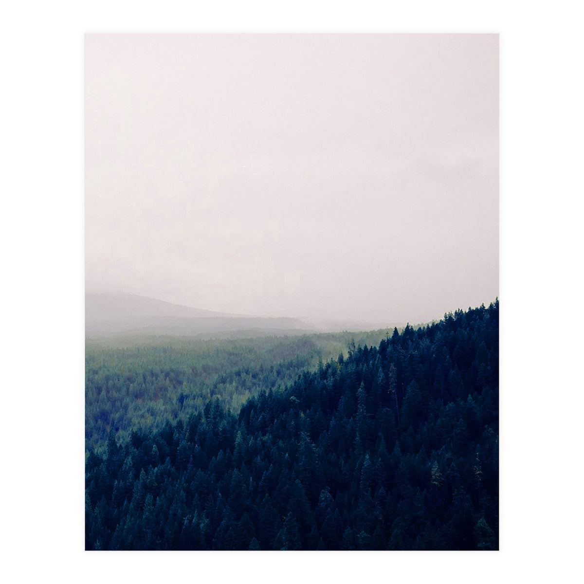 Priceless Treasure (Print Only)