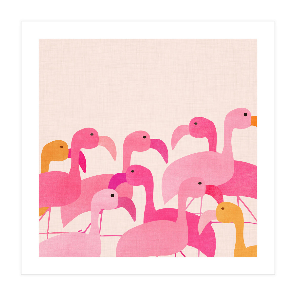 Florida Flamingos (Print Only)
