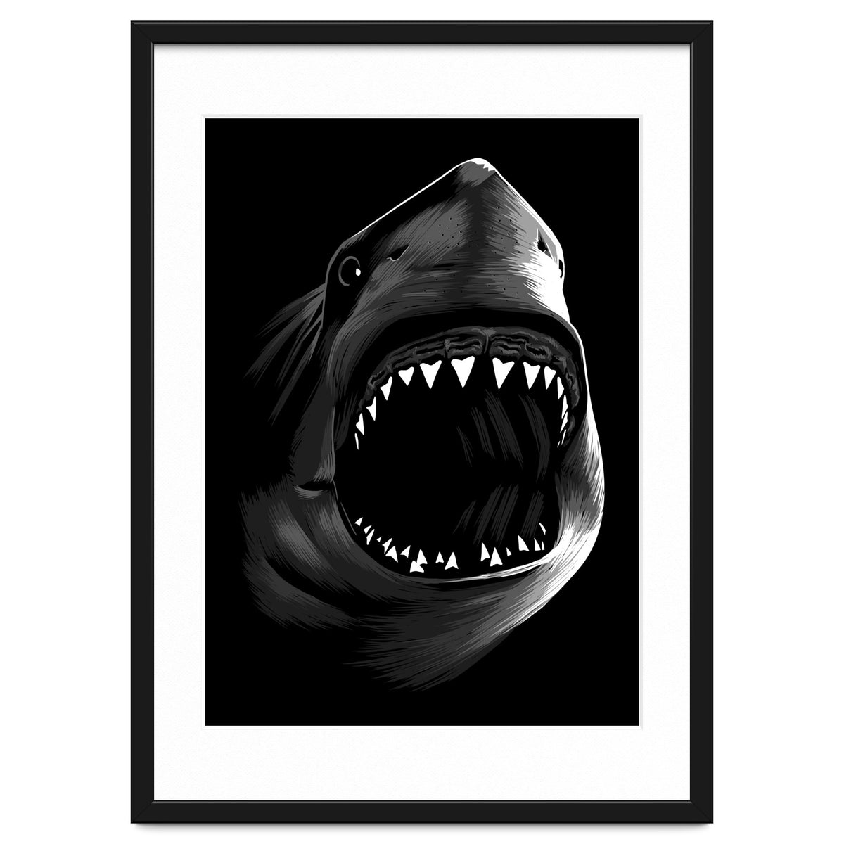 Megalodon