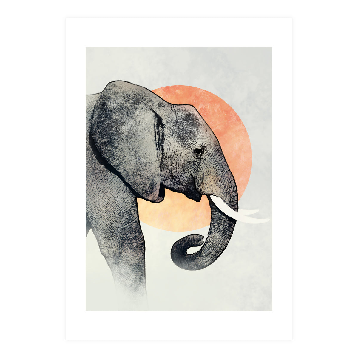 Elephant (Print Only)