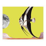 Plenty of fish in the sea yellow (Print Only) thumbnail