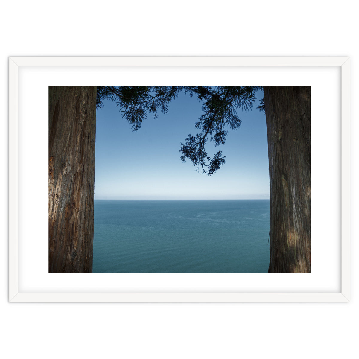 Picture Postcard Perfect