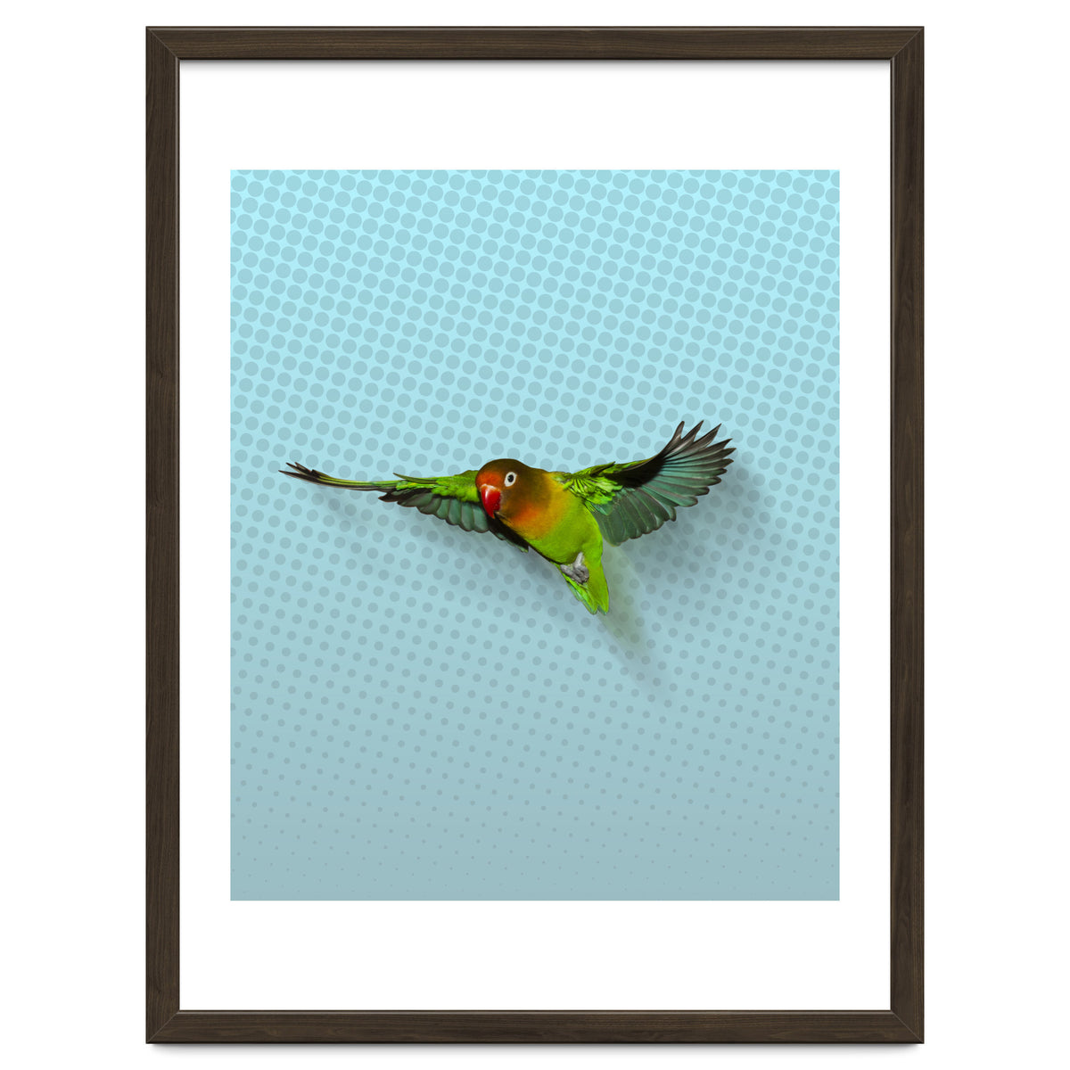 Flying lovebird