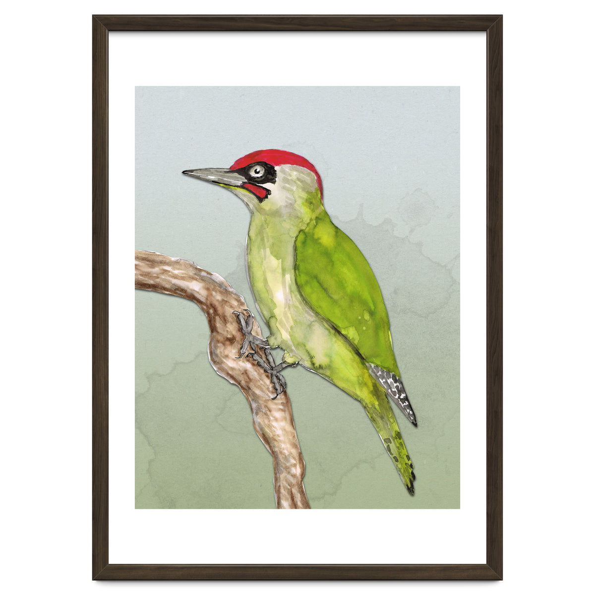 Green woodpecker