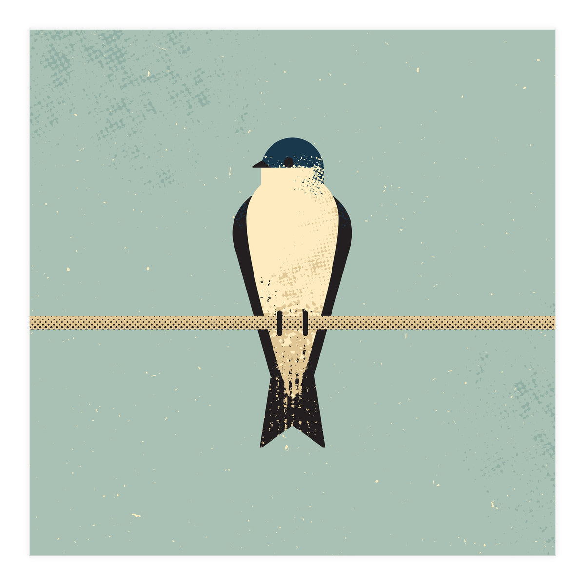 Swallow (Print Only)