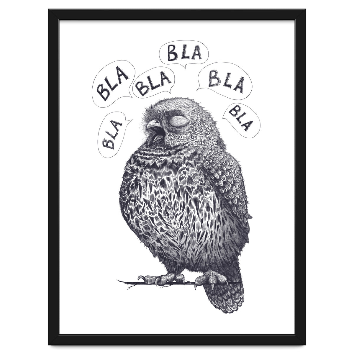 Owl Bla Bla Bla