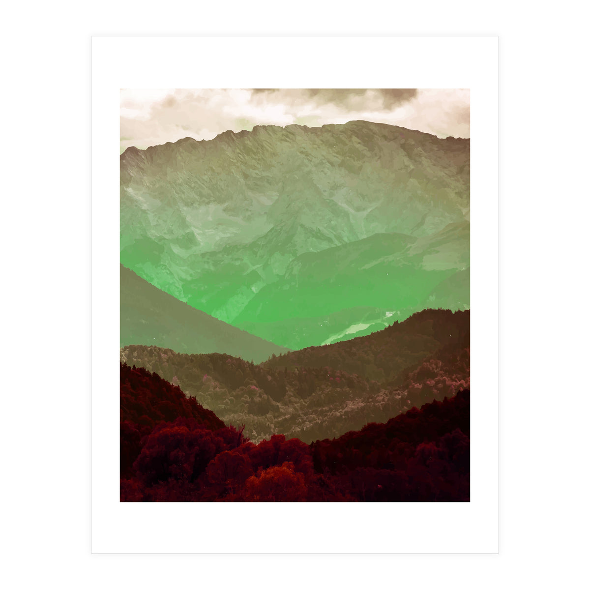 Philosophy & Purpose (Print Only)