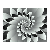 Black & White Floral (Print Only) thumbnail