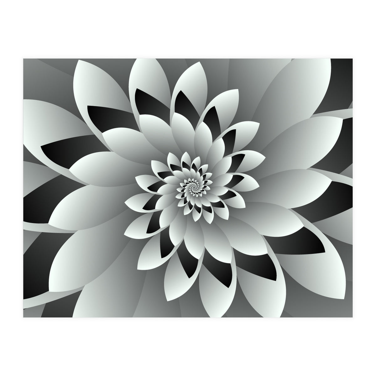Black & White Floral (Print Only)