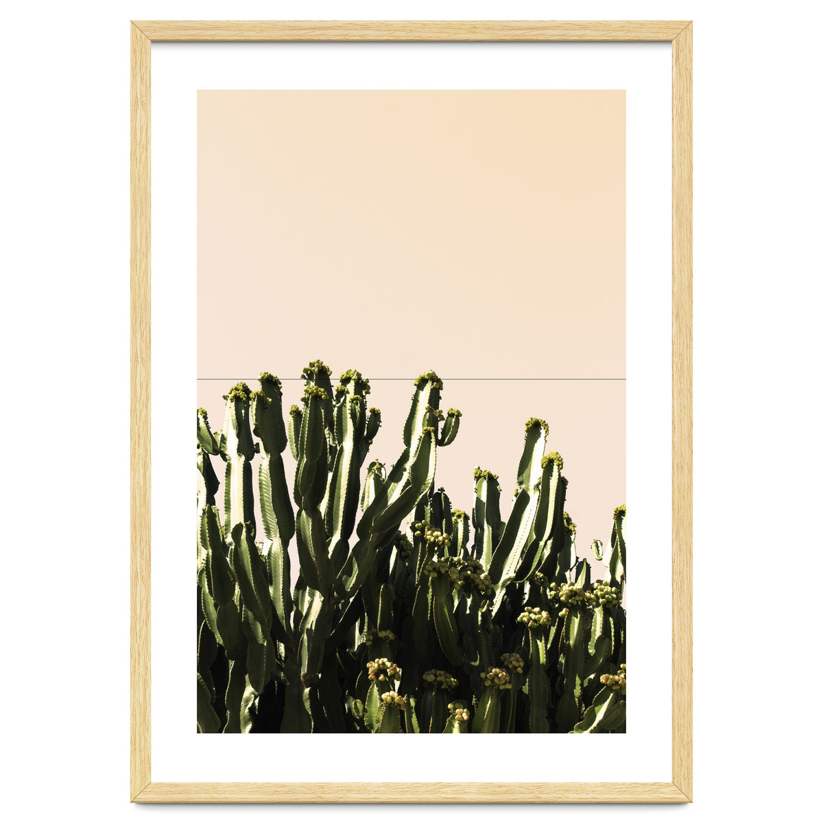 Cactus Vertical Color