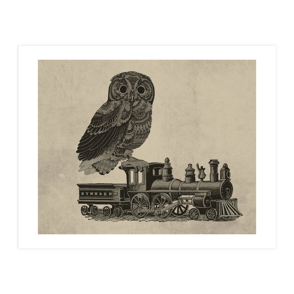 civetta (Print Only)