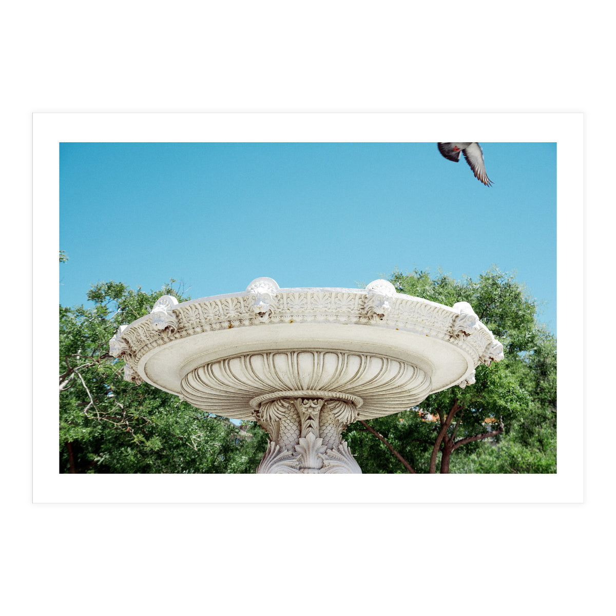 Holy Grail (Print Only)