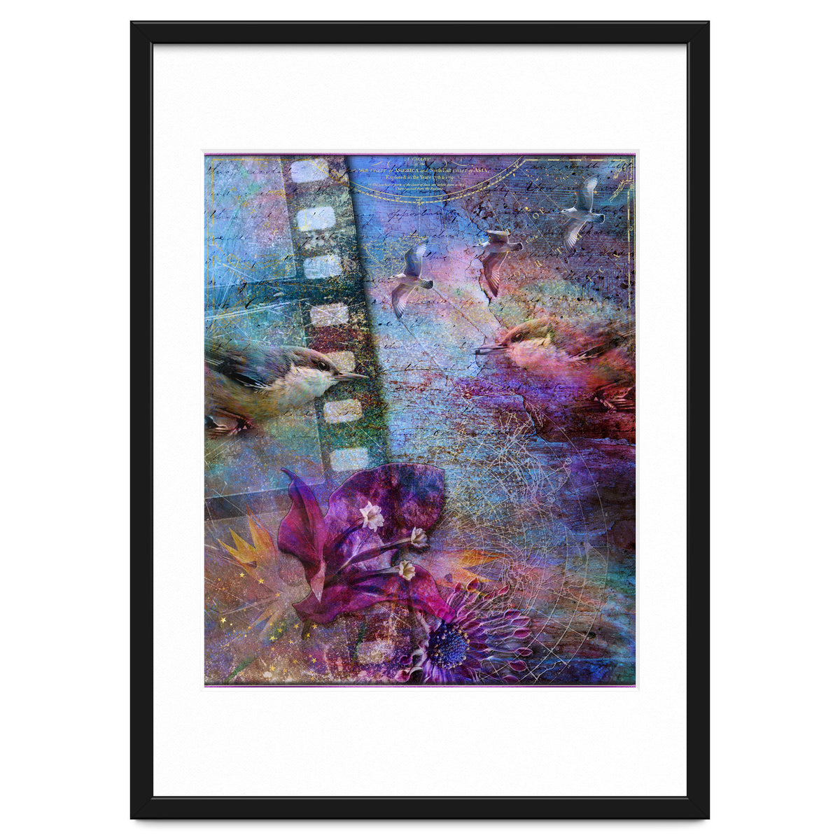 Watching the Wild World