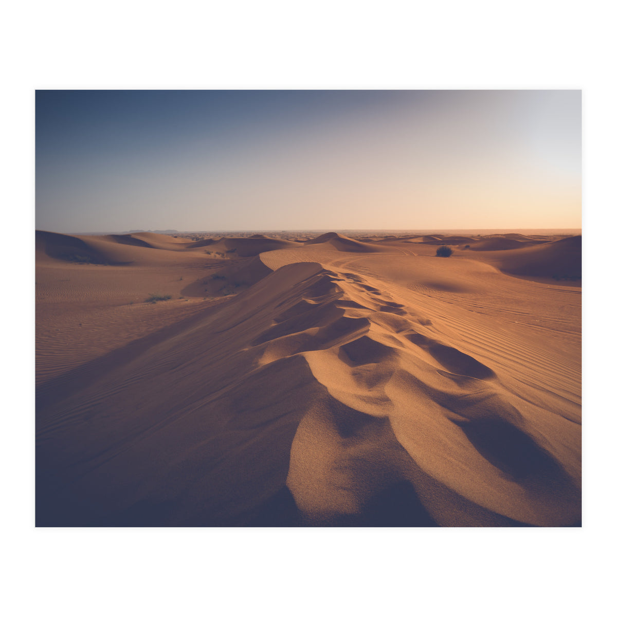 Caramel (Print Only)