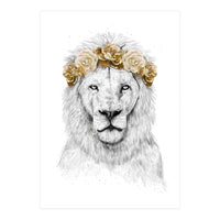 Festival Lion (color version) (Print Only)