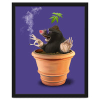 Pot (Colour)
