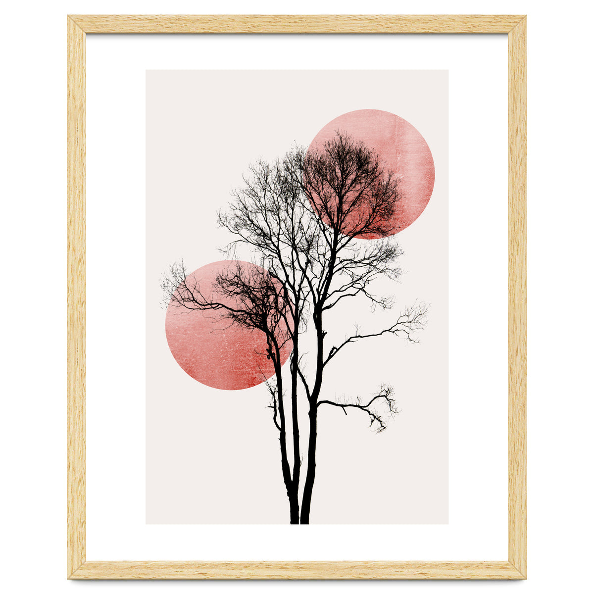 Sun And Moon Hiding Rosè