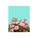 Blissful (Print Only) thumbnail