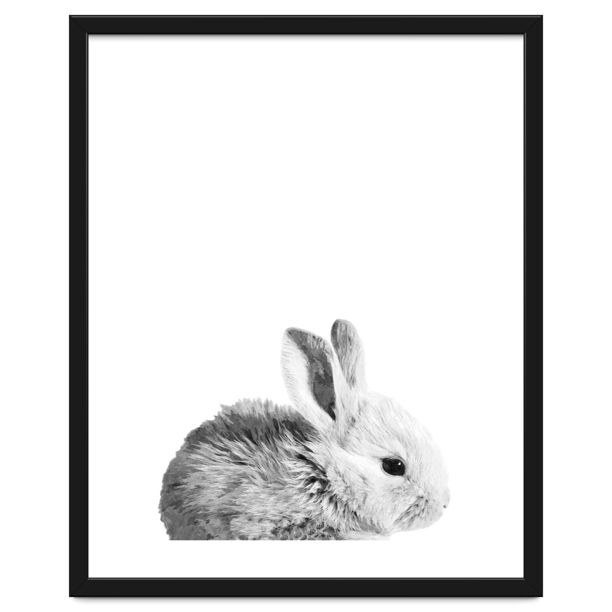 Black and White Bunny Portrait