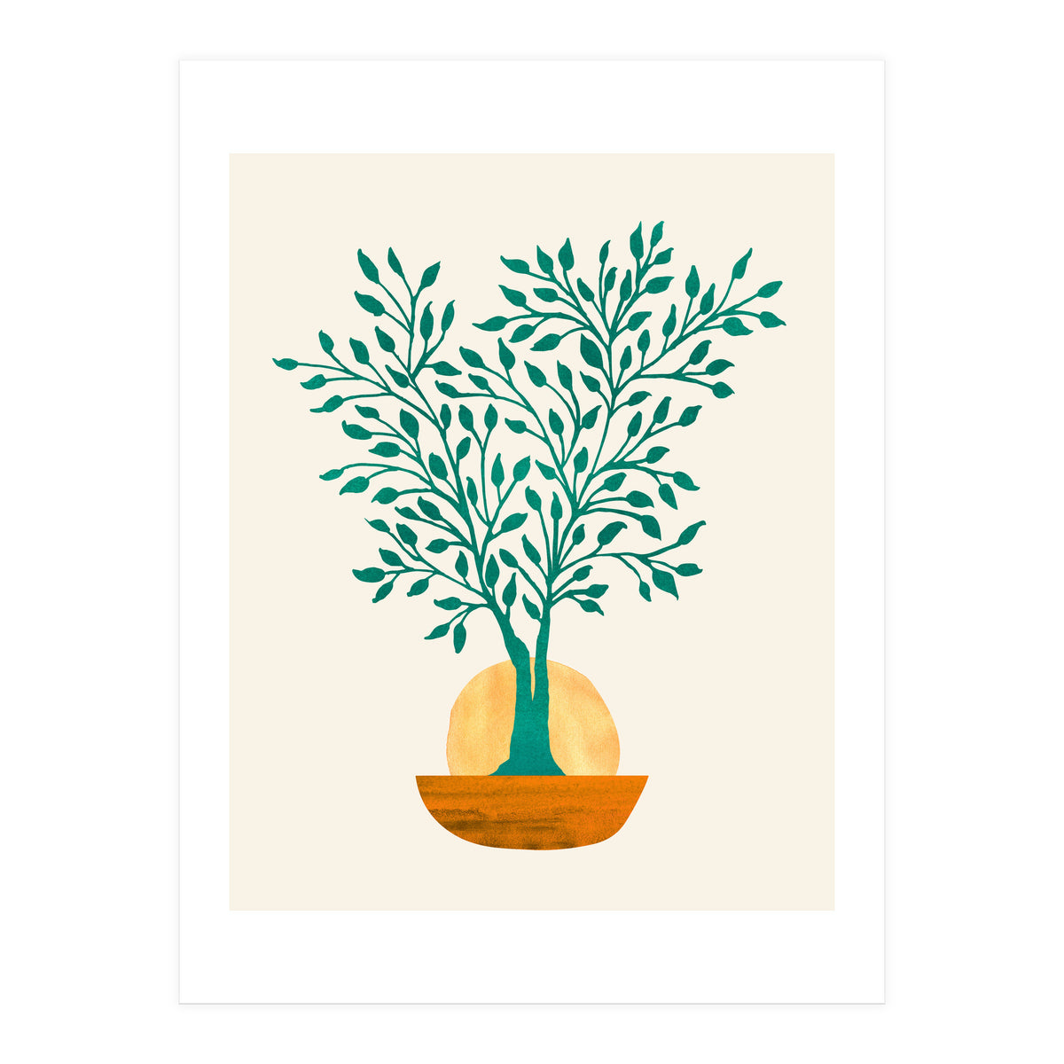 Emerald Ficus Sunset (Print Only)