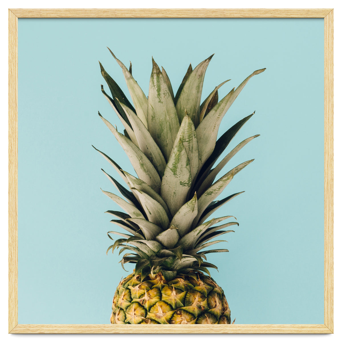 Pineapple On Blue Background