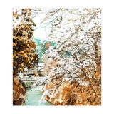 Japan (Print Only) thumbnail