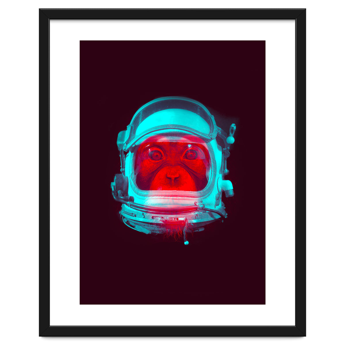Astronaut