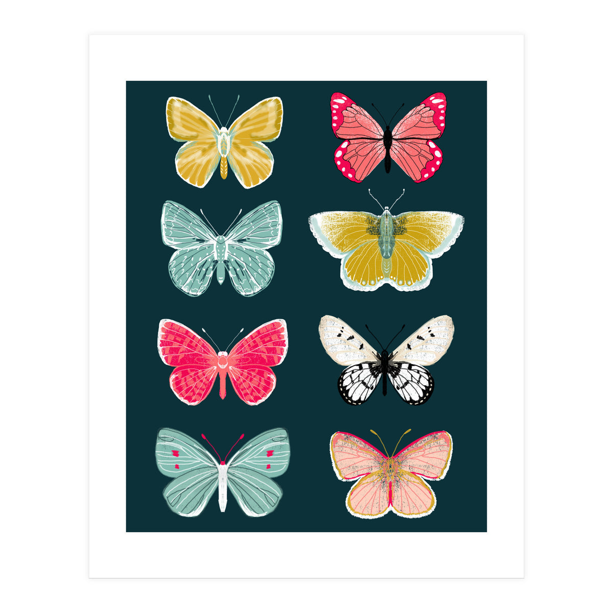 Lepidoptery Study No. 2 (Print Only)
