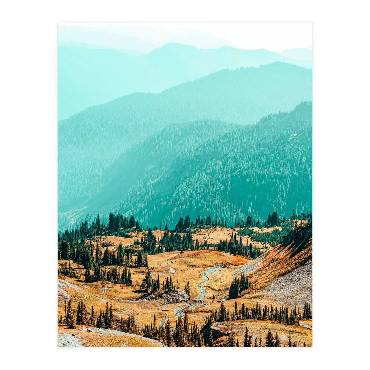 Delight Ii (Print Only)