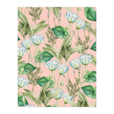 Lilyka (Print Only) thumbnail
