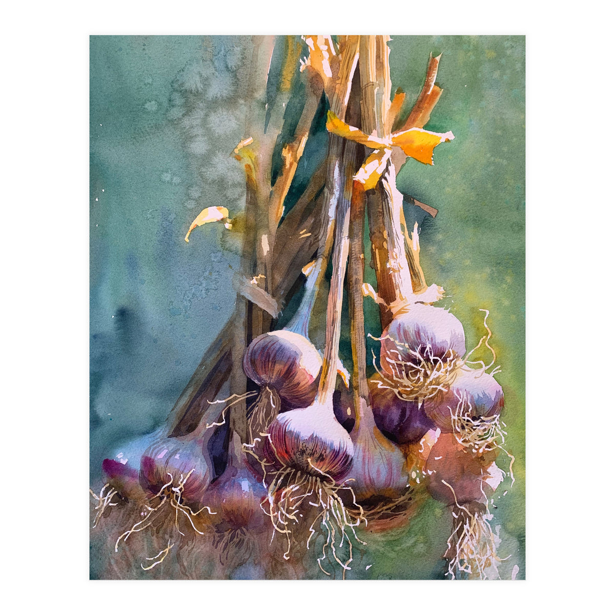 Still Life Garlic (Print Only)