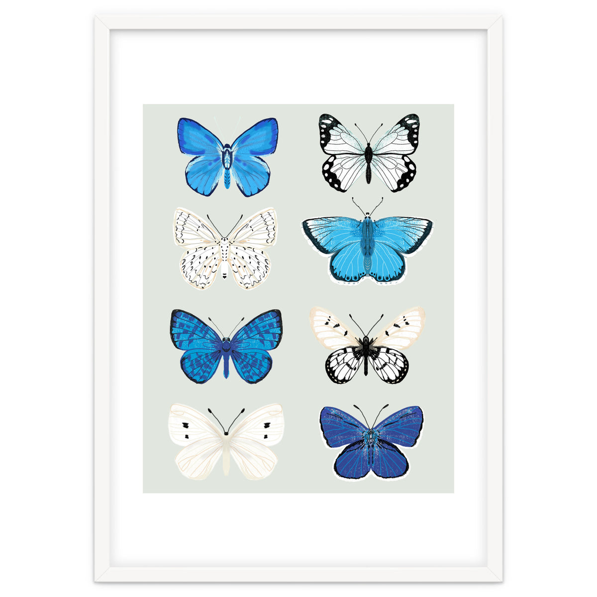 Lepidoptery Study No. 3