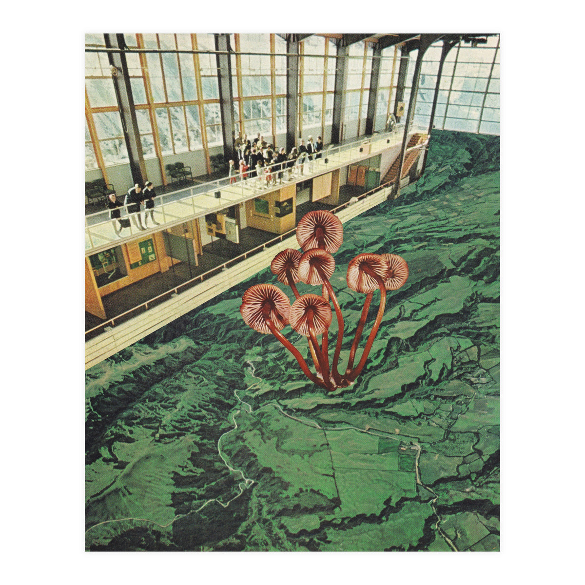 Mushroom Greenhouse (Print Only)