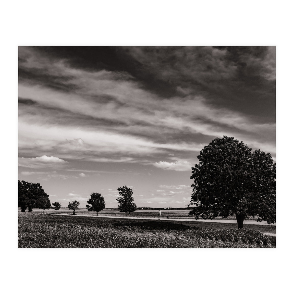 Country Road, Illinois  (Print Only)